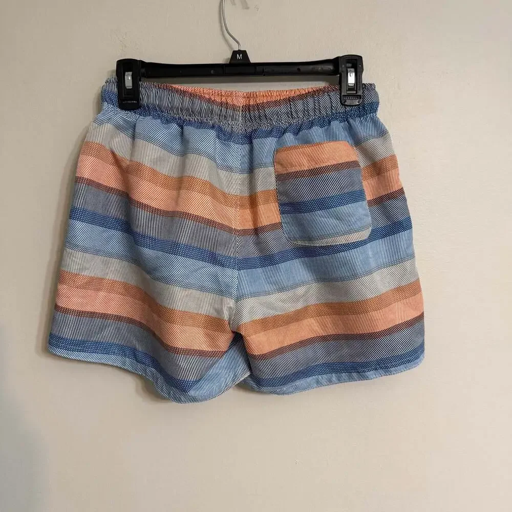 Evolve Men’s‎ Stripe Swim Suit Shorts